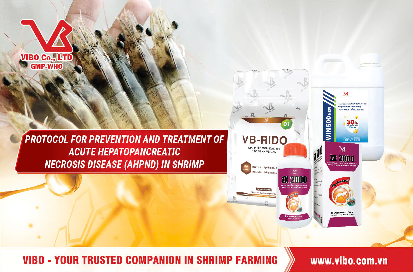 PROTOCOL FOR PREVENTION AND TREATMENT OF ACUTE HEPATOPANCREATIC NECROSIS DISEASE (AHPND) IN SHRIMP