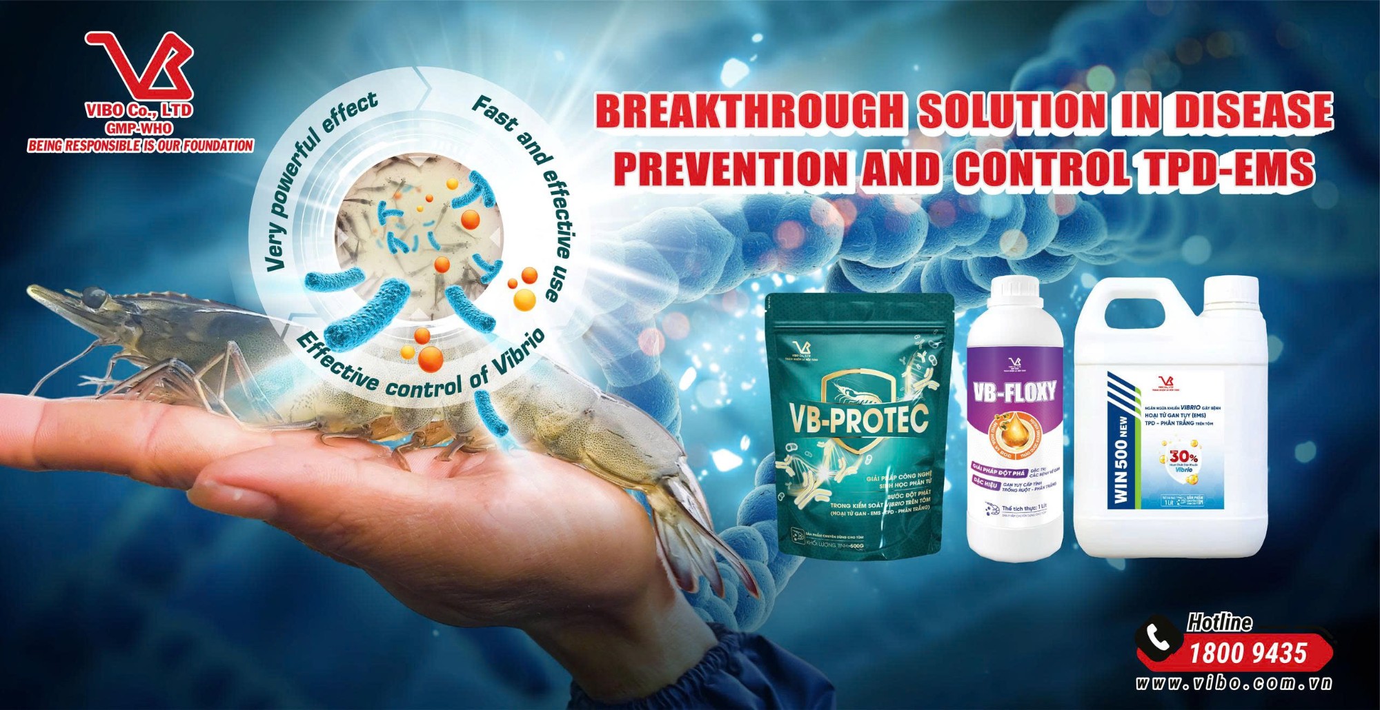 PREVENTION AND TREATMENT SOLUTIONS FOR TRANSLUCENT POST-LARVAE DISEASE (TPD) IN SHRIMP