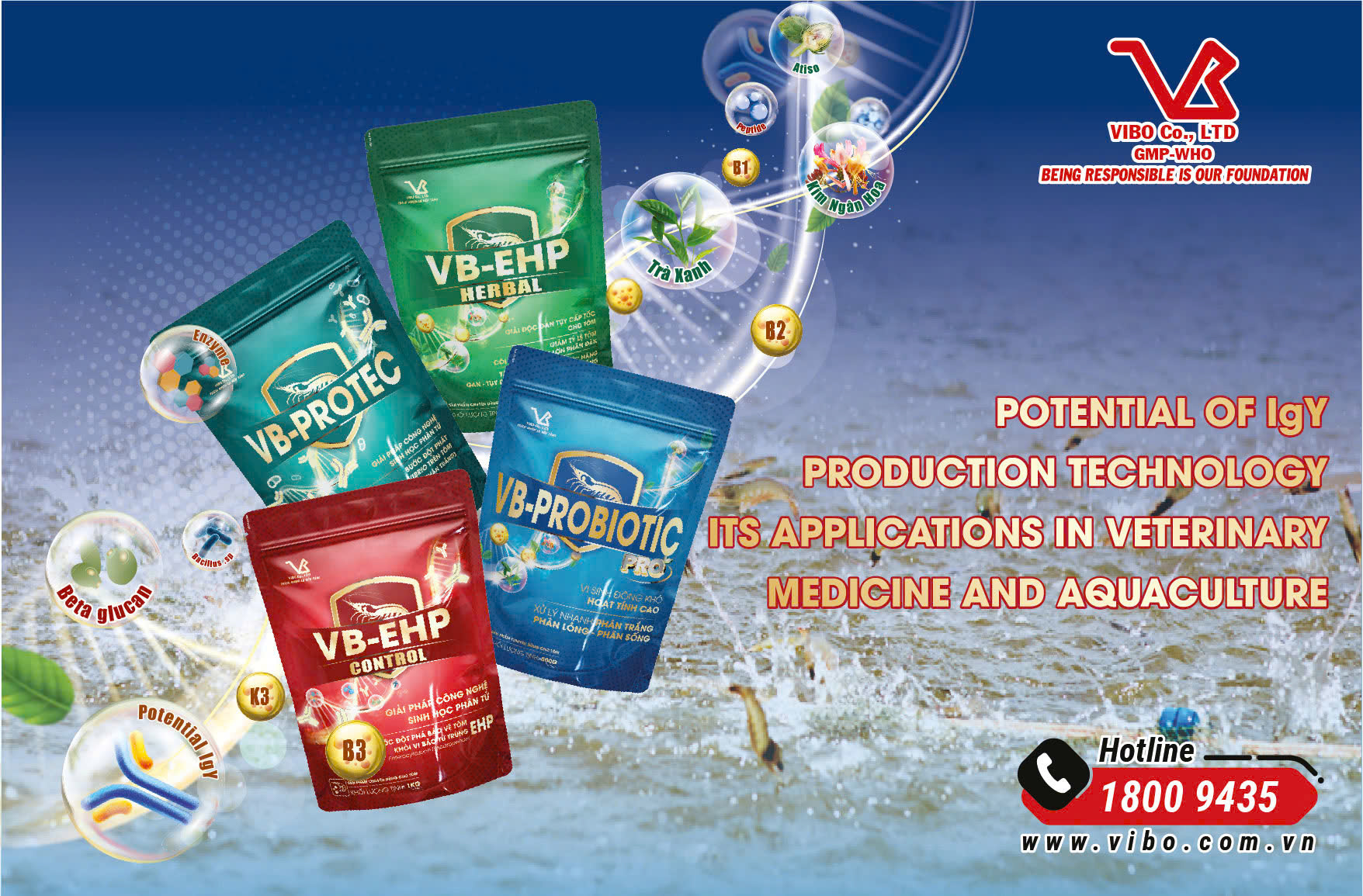 POTENTIAL OF IgY PRODUCTION TECHNOLOGY AND ITS APPLICATIONS IN VETERINARY MEDICINE AND AQUACULTURE