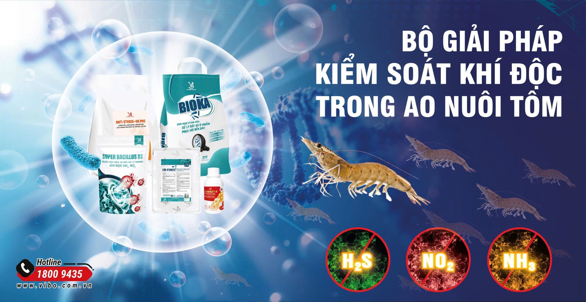 QUẢN LÝ KHÍ ĐỘC TRONG AO NUÔI TÔM