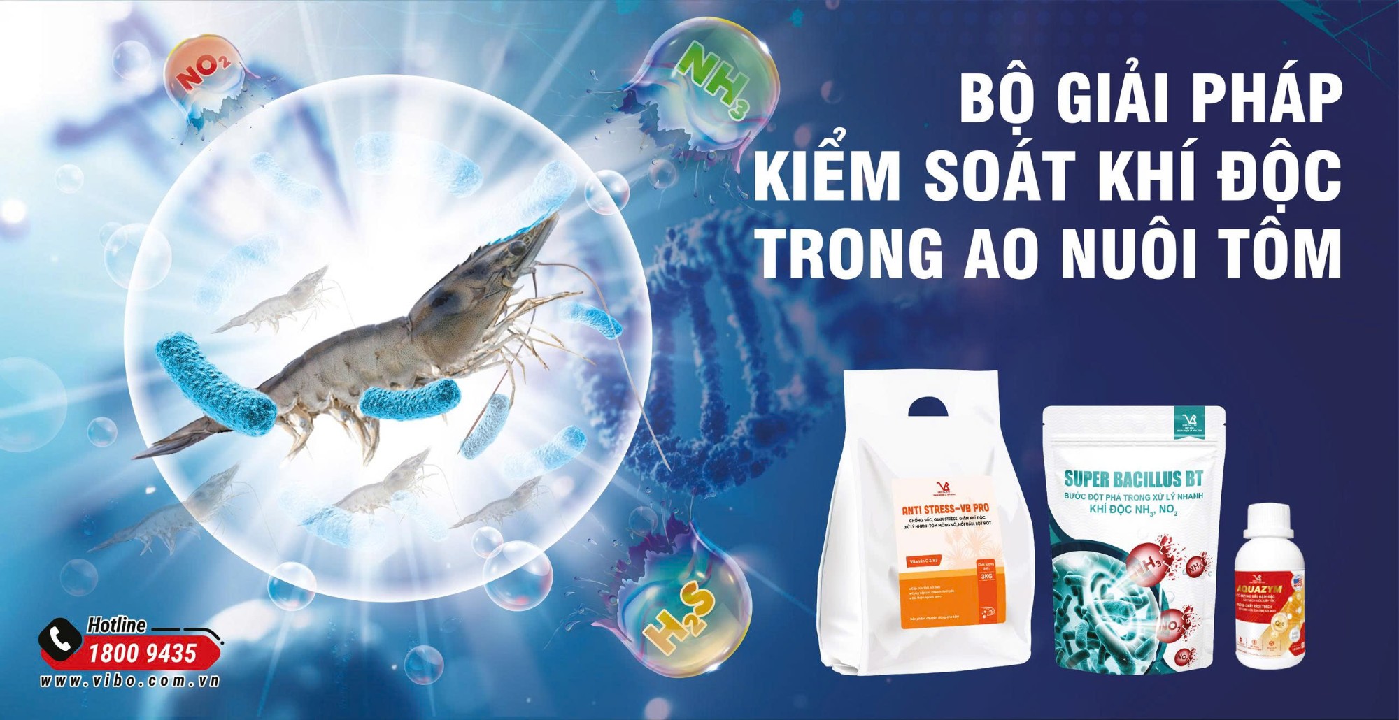 QUẢN LÝ KHÍ ĐỘC TRONG AO NUÔI TÔM