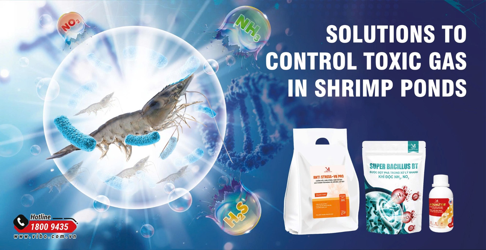 TOXIC GAS MANAGEMENT IN SHRIMP POND