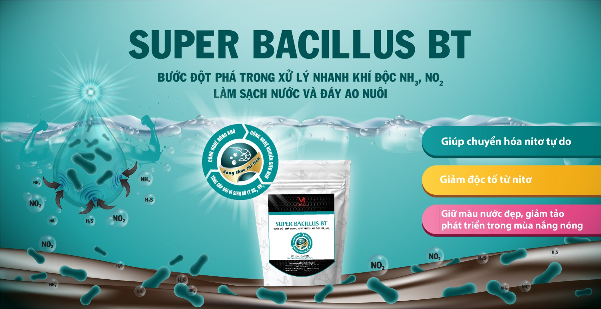 Bacillus Subtilis "Thần dược" xử lý nước thải