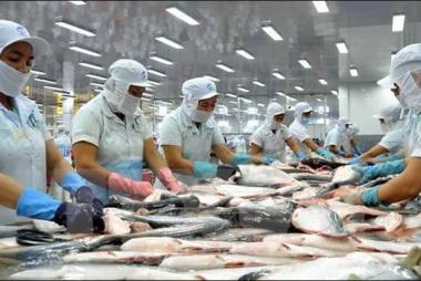 Trung Quốc bất ngờ tăng mạnh nhập khẩu thuỷ sản Việt Nam