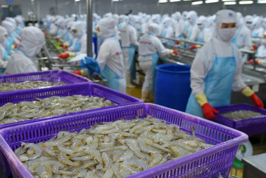Bùng nổ xuất khẩu tôm: Trung Quốc dẫn đầu với đơn hàng 7 con số