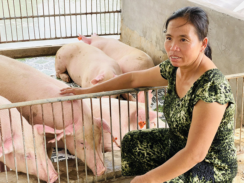 Bà Lương Thanh Hương bên trang trại nuôi heo công nghệ cao của mình.