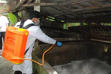 Giữ đàn vật nuôi an toàn sau Tết: Mô hình nhỏ, an toàn lớn