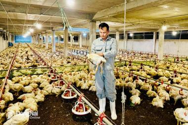 Đồng Nai: Phòng dịch tốt để phát triển chăn nuôi bền vững