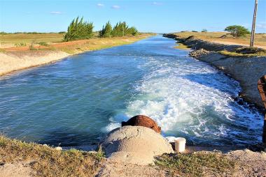 Xử lý hiệu quả nước thải nuôi thủy sản bằng tập đoàn vi khuẩn