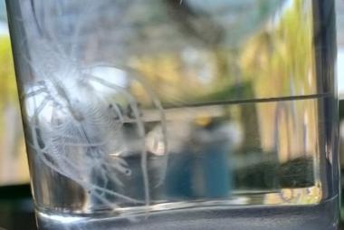 Sản xuất thành công giống tôm mũ ni