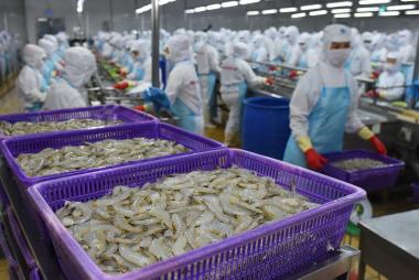 Mỹ, Trung Quốc tăng nhập khẩu tôm Việt Nam