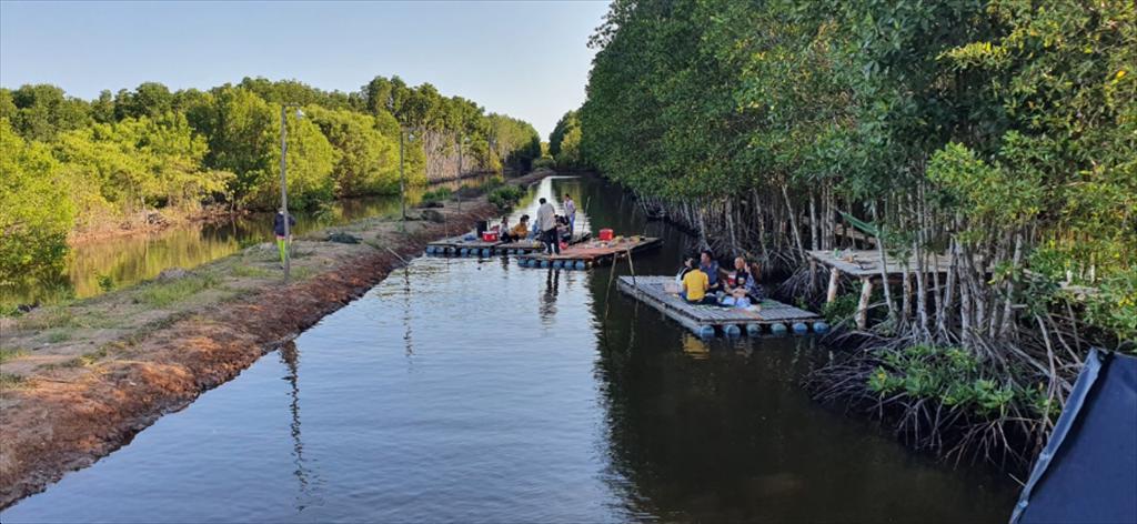 Shrimp–mangrove farming model: A sustainable solution for climate resilience