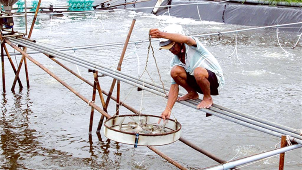 Aquatic production output reaches over 7.26 million tons in first nine months of 2025