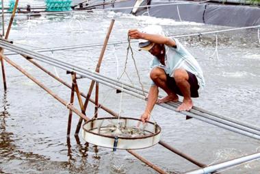 Aquatic production output reaches over 7.26 million tons in first nine months of 2025