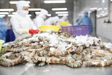 Top 5 destinations for Vietnam’s shrimp exports