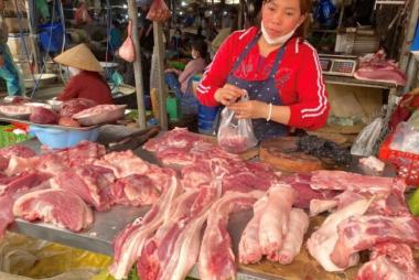 Dự báo cung cầu thịt heo Tết Nguyên đán 2024: Những điểm nhấn cho nhà chăn nuôi
