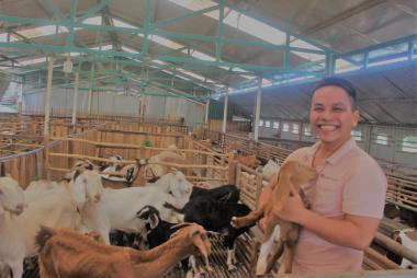 Chuỗi liên kết chăn nuôi dê bền vững: Bí quyết làm giàu cho bà con nông dân