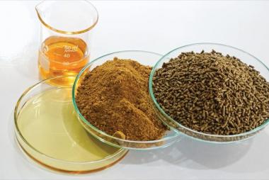 Giá thức ăn thủy sản 2025 có xu hướng giảm, hỗ trợ người nuôi phục hồi sản xuất