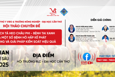 VIBO – Spreading Knowledge, Standing Side by Side with Livestock Farmers in the Mekong Delta