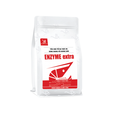 ENZYME extra