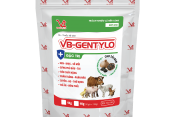 VB-GENTYLO