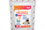 VB-DOXILA