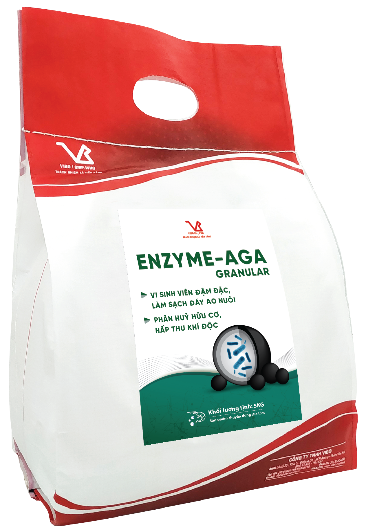 Vi sinh viên cho tôm càng