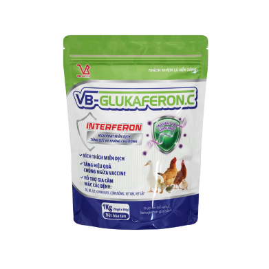 VB-GLUKAFERON.C tăng miễn dịch, hỗ trợ gia cầm trong quá trình trị bệnh