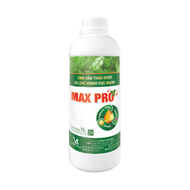 MAX PRO