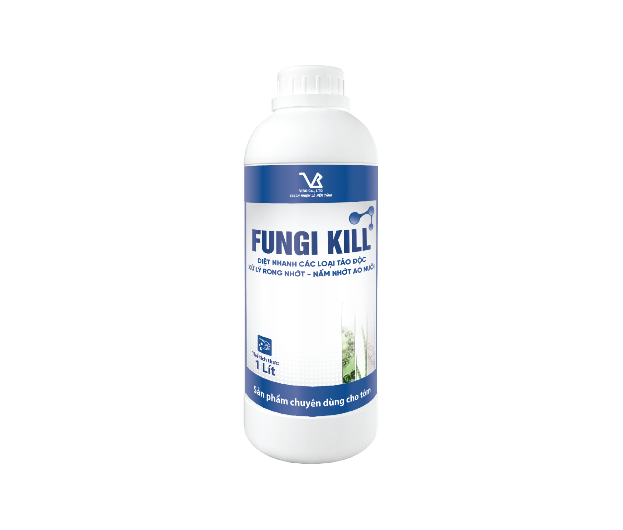 FUNGI KILL