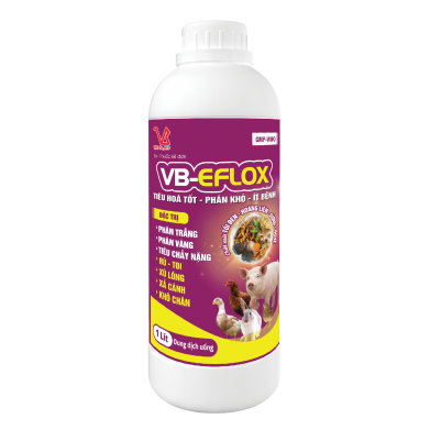 VB-EFLOX