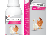 VB-CONAZOL