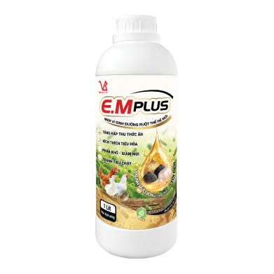 E.M PLUS