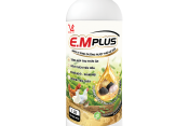 E.M PLUS