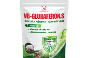VB-GLUKAFERON.S