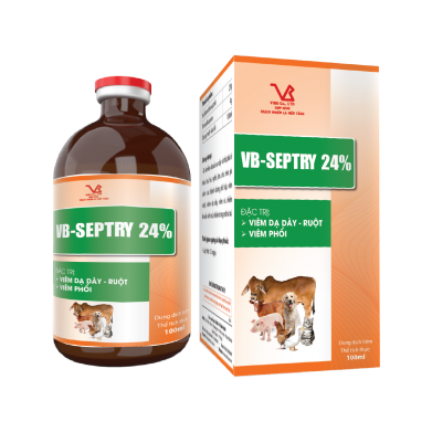 VB-SEPTRY 24%