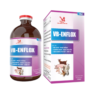 VB-ENFLOX