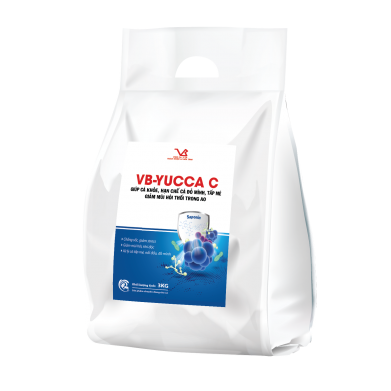 VB-YUCCA C