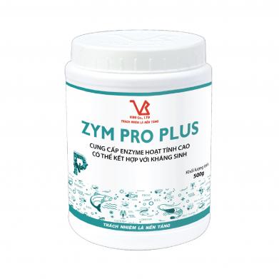 ZYM PRO plus (MEN TIÊU HOÁ HOẠT TÍNH CAO)