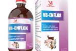 VB-ENFLOX