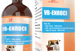 VB-ENROCI