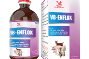 VB-ENFLOX