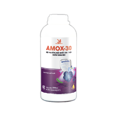 AMOX-30