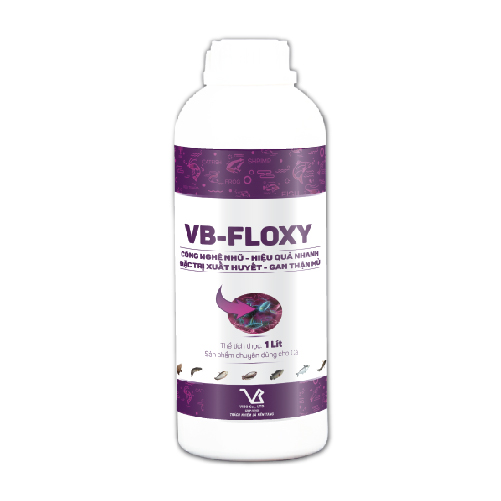 VB-FLOXY