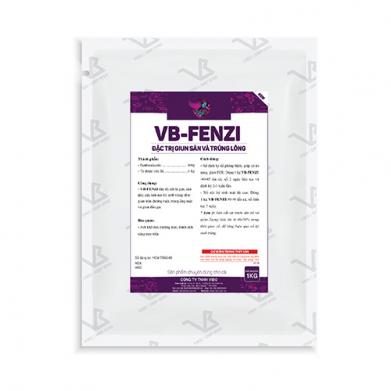 VB-FENZI_new
