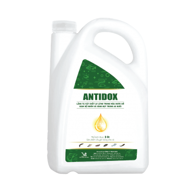 ANTIDOX 