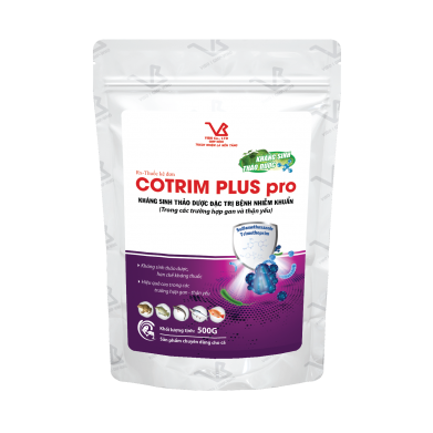 COTRIM PLUS PRO (Đặc trị gan thận mủ và xuất huyết cho cá)