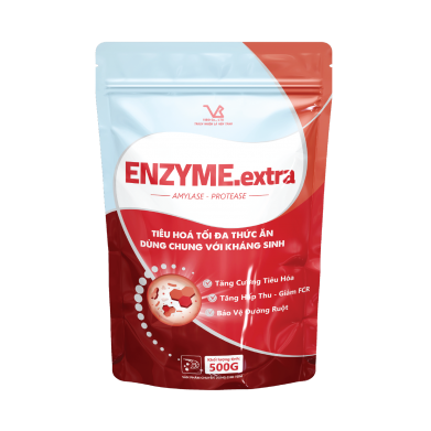 ENZYME.extra (Men tiêu hoá, dùng chung với kháng sinh)