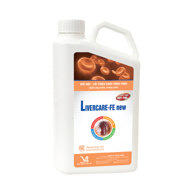 LIVERCARE-FE new (Giải độc phục hồi thận cấp tốc)