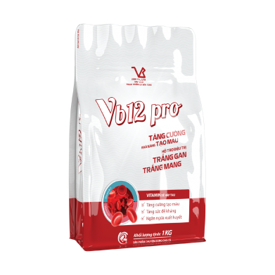 VB12 pro